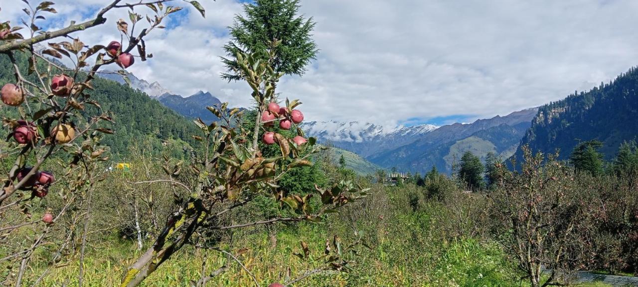 Apple Flower With Balcony And Mountain View Manali (Himachal Pradesh) Exterior photo